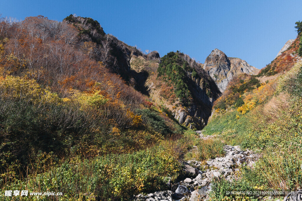 山