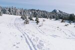 雪山风光