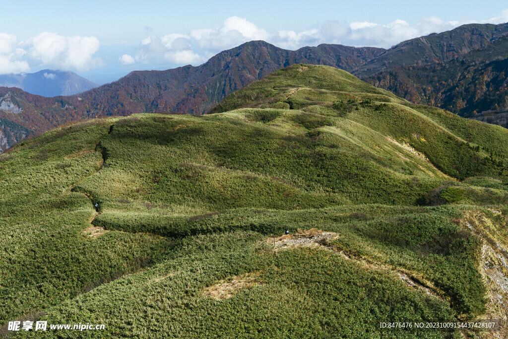 山坡风景