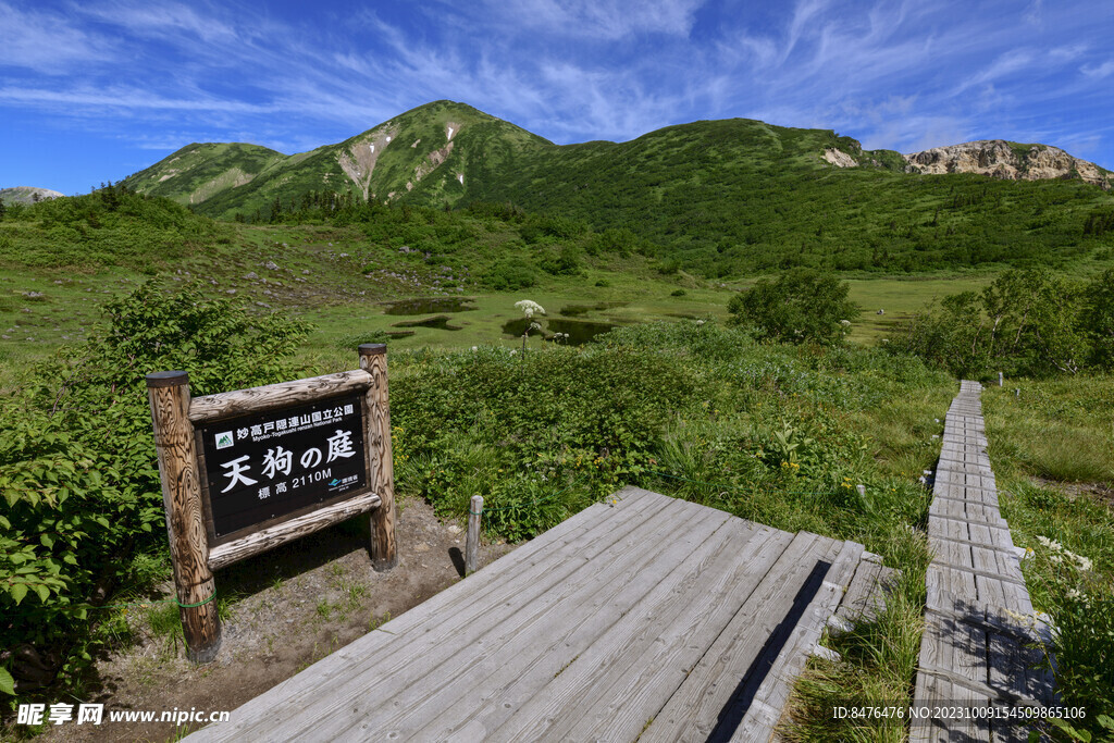 高山
