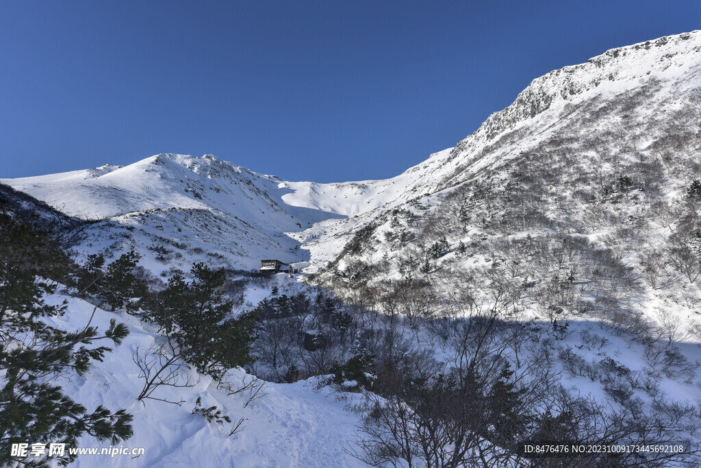 山顶风光