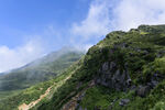 山顶风光