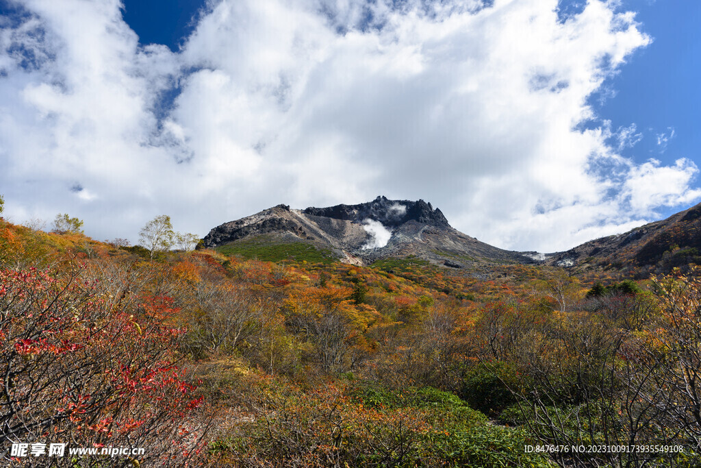 山顶