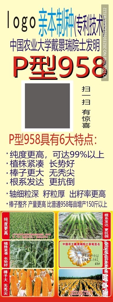 玉米 