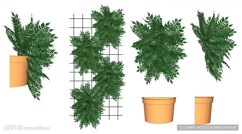 盆栽植物PSD分层贴图素材