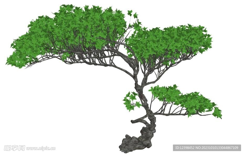 景观树木模型