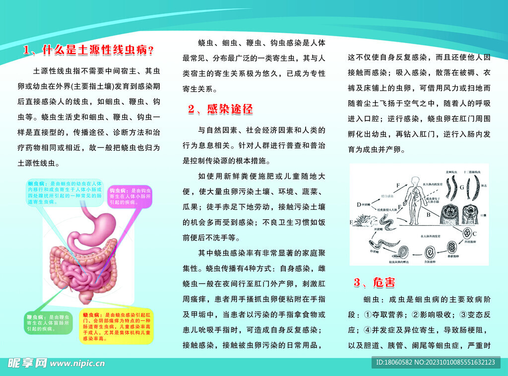 土源性线虫防治宣传资料 三折页