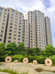 小区绿化