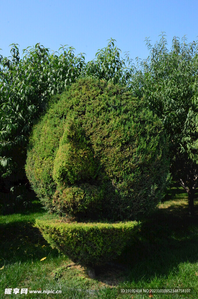 公园风景