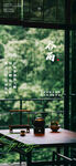 谷雨海报 