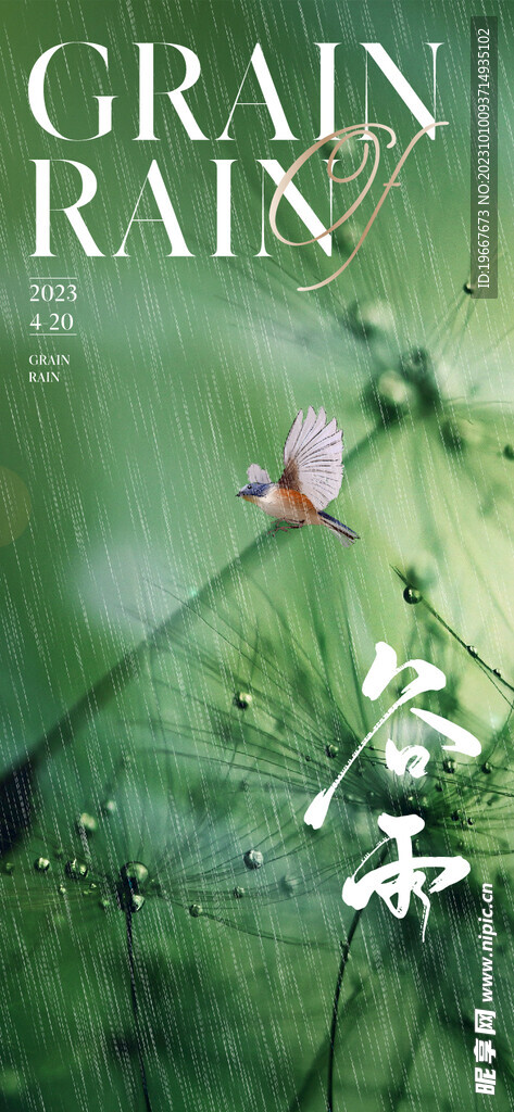 谷雨海报 