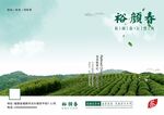 茶叶精品画册
