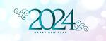 2024年