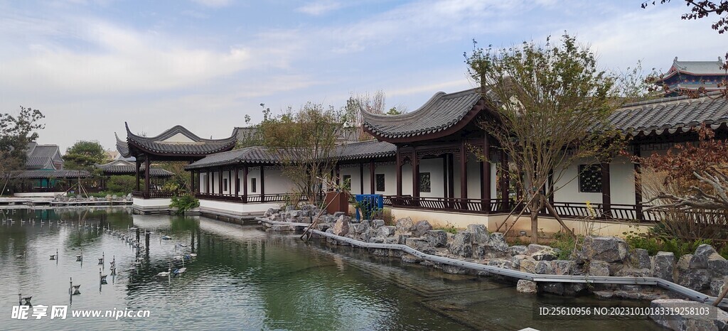 园林景观