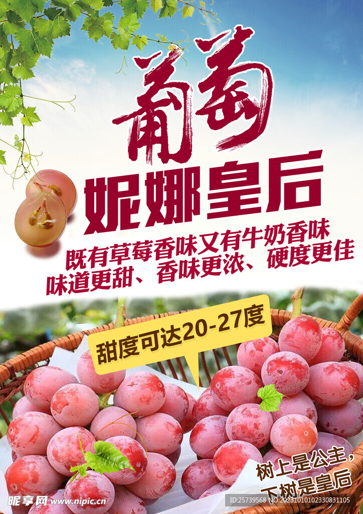妮娜皇后葡萄