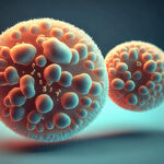 单细胞生物酵母菌