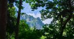 山顶