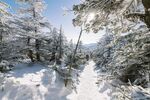 雪山风光