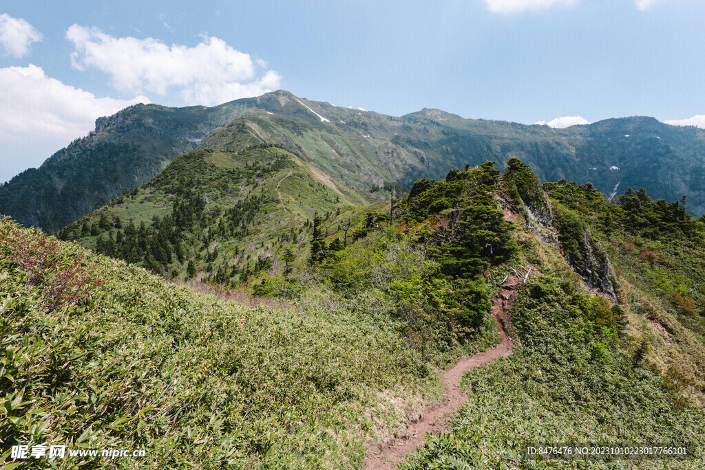 山顶