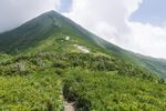 山顶
