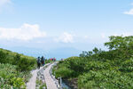 山顶