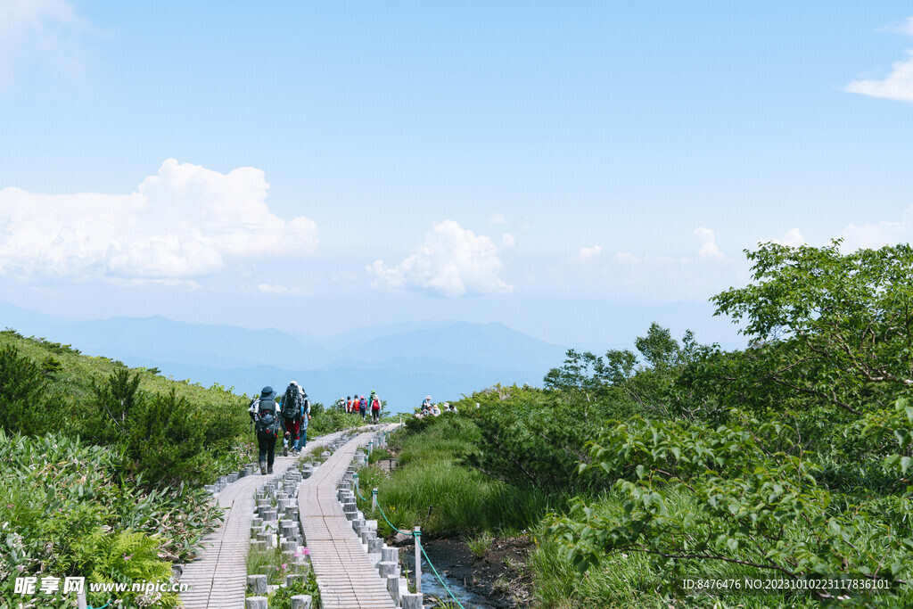 山顶