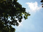 天空