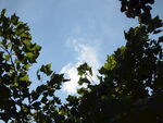 天空