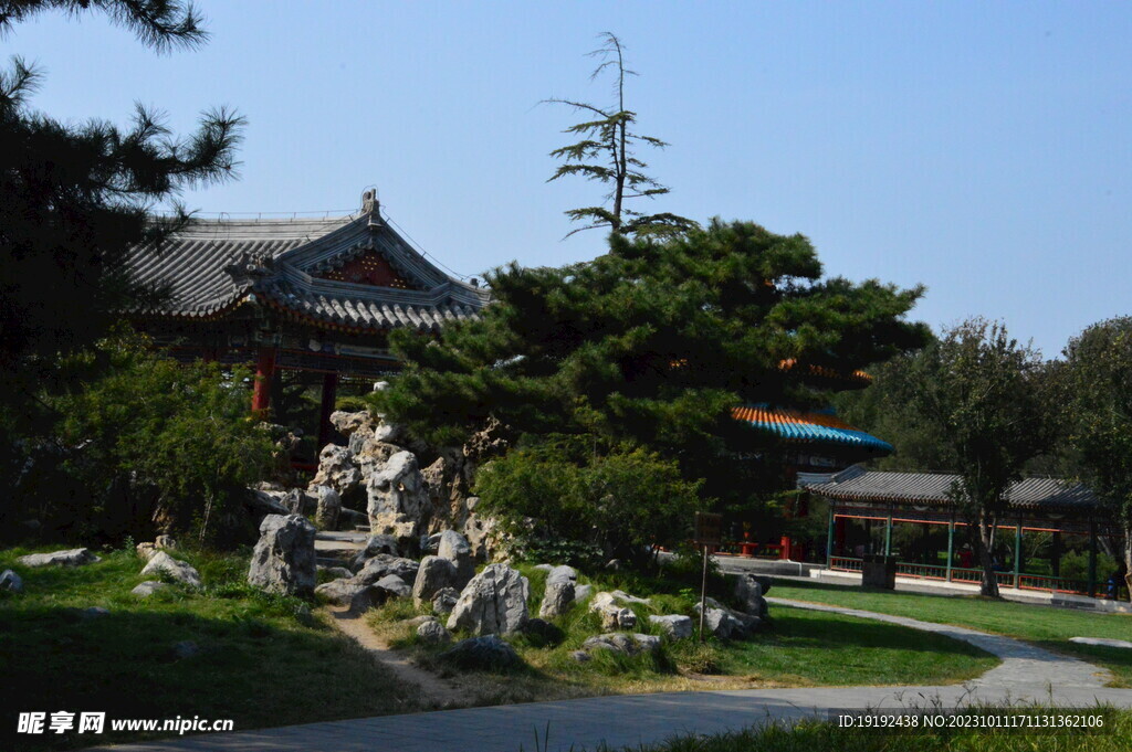 天坛风景 