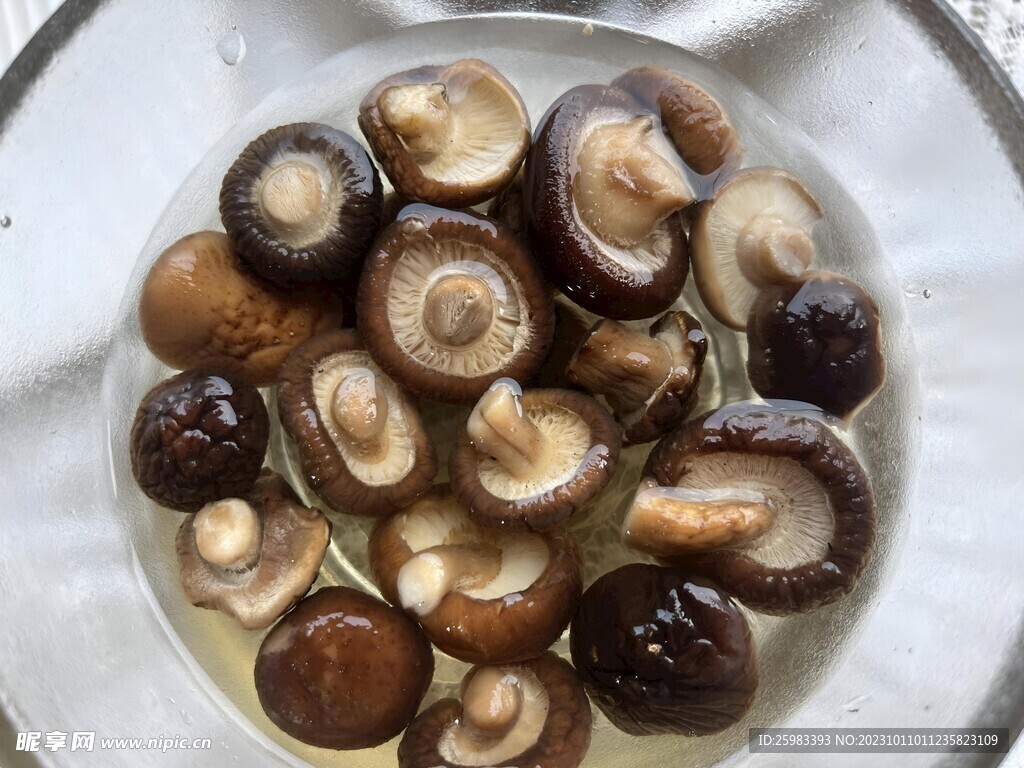 香菇