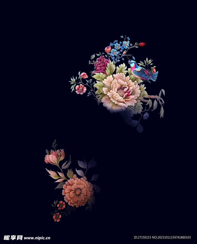 牡丹花