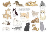 猫猫