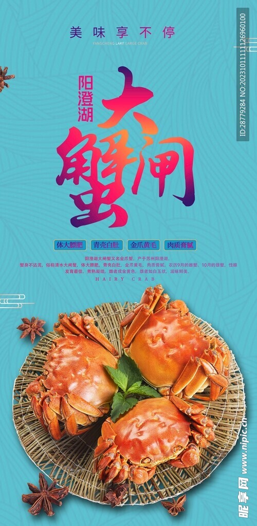 阳澄湖大闸蟹