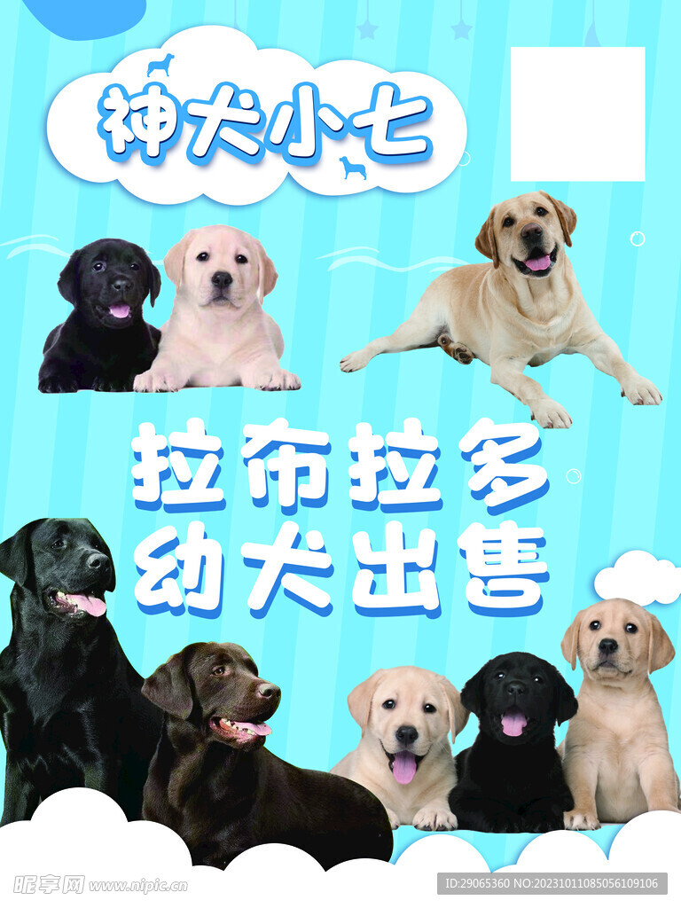 宠物店海报