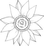 白描植物           