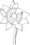 白描植物           