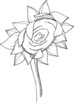 白描植物           