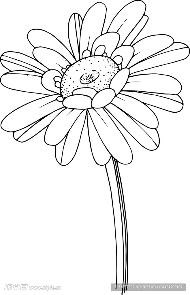 白描植物           
