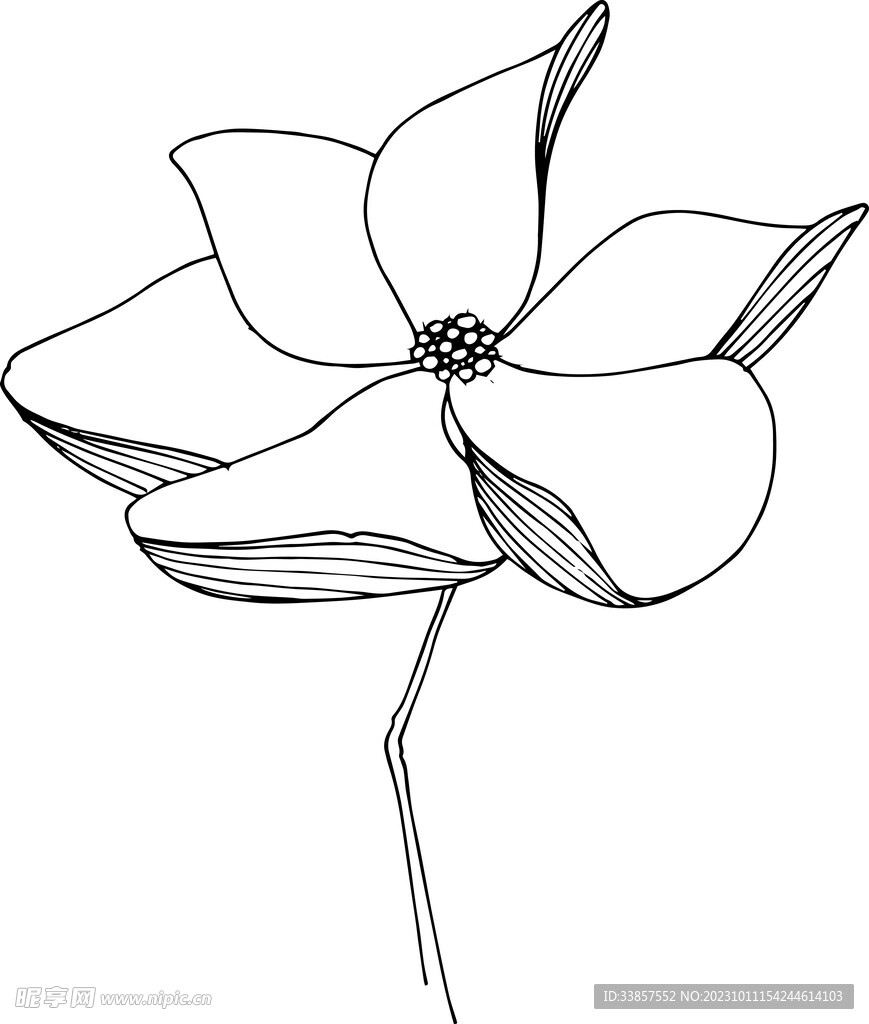 白描植物           