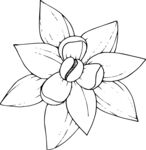 白描植物           