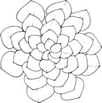 白描植物           