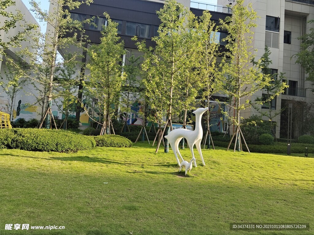 草坪