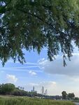 绿树蓝天 
