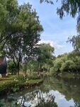 蓝天绿水