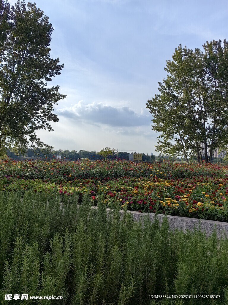 秋天的风景 