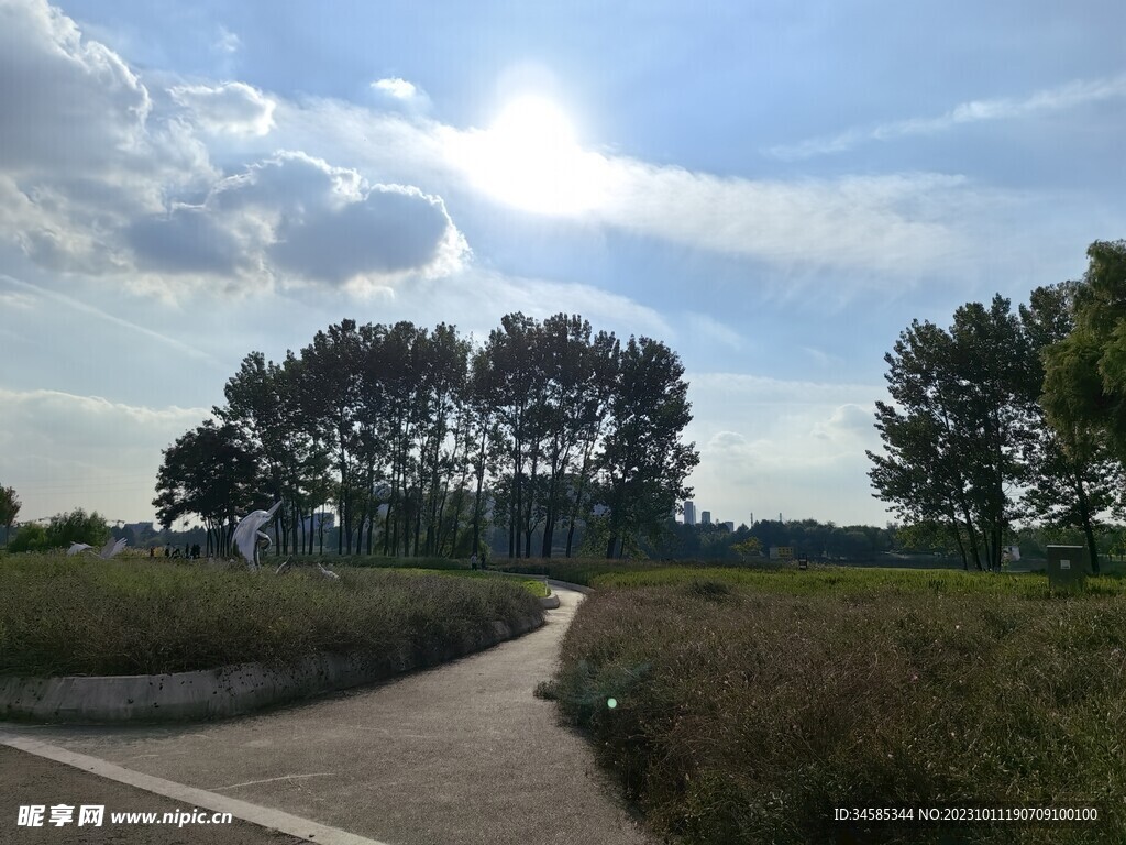 树