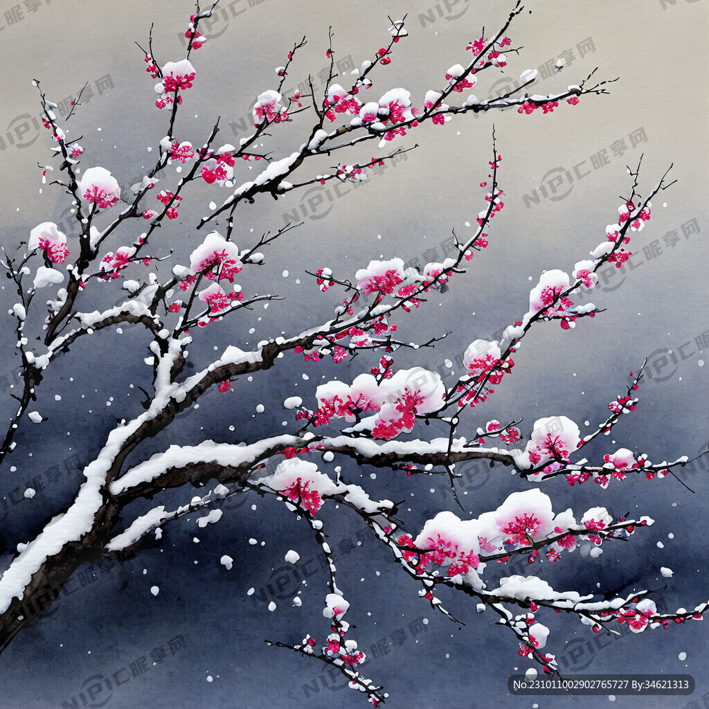 雪压寒梅