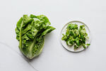 生菜