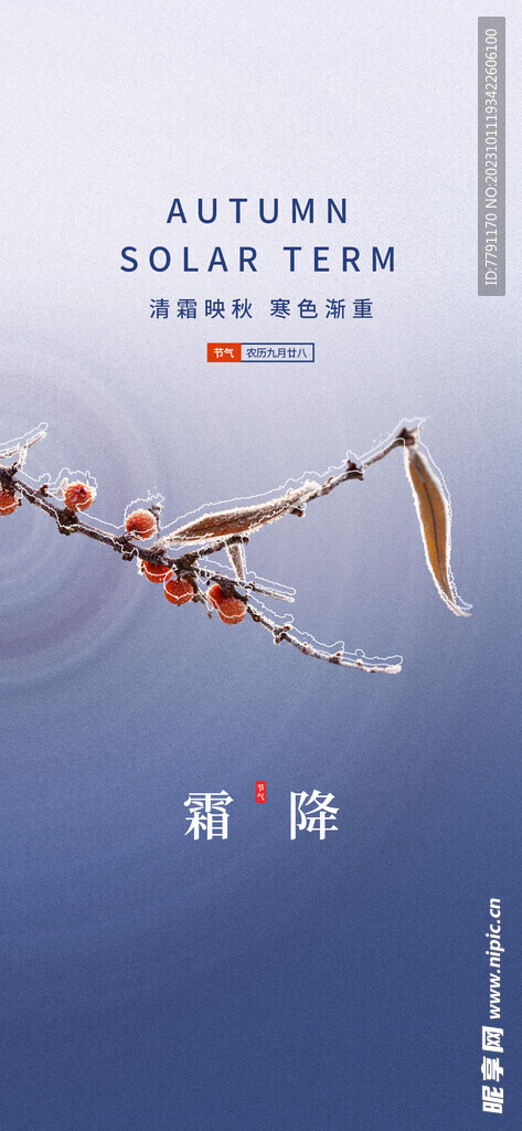 霜降节气海报