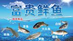 海鲜 鱼 河鲜